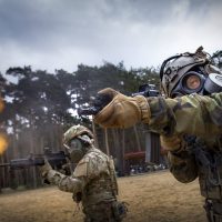 CRBN collection AVEC-CHEM aresmaxima.com