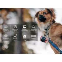 Lampe de Signalisation Olight GOBER KIT BLUE aresmaxima.com